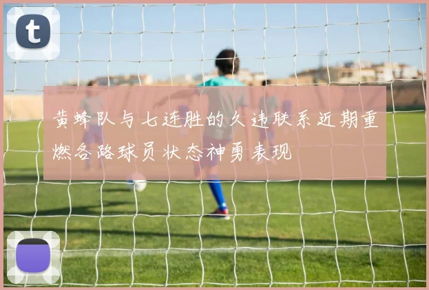 黄蜂队与七连胜的久违联系近期重燃各路球员状态神勇表现